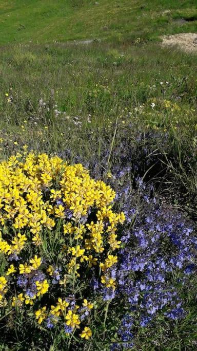 A Cordon Entre Bois Et Nature Exteriör bild