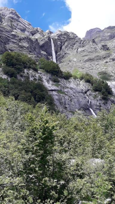 A Cordon Entre Bois Et Nature Exteriör bild